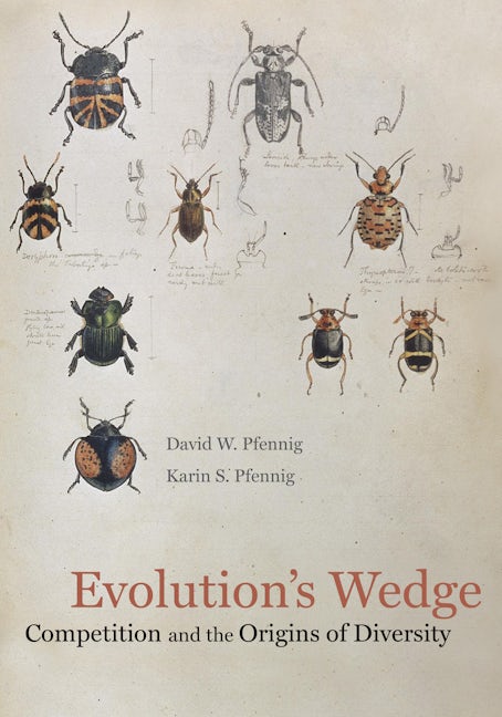 Book cover image for Evolution's Wedge ISBN: 9780520274181