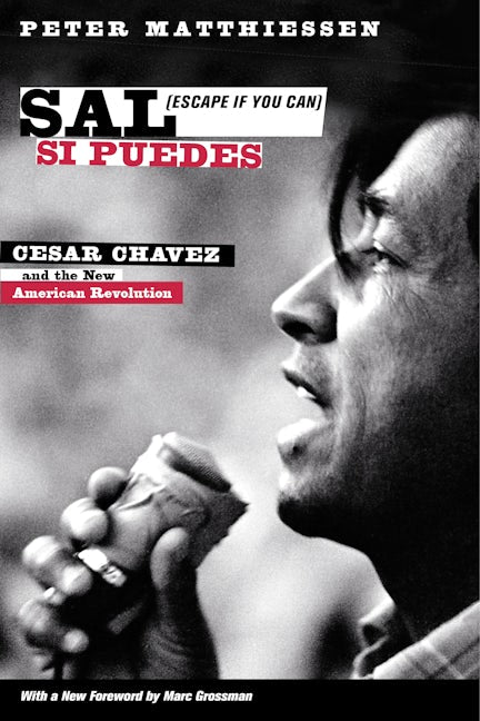 Cover image for Sal Si Puedes (Escape If You Can) ISBN 9780520958364