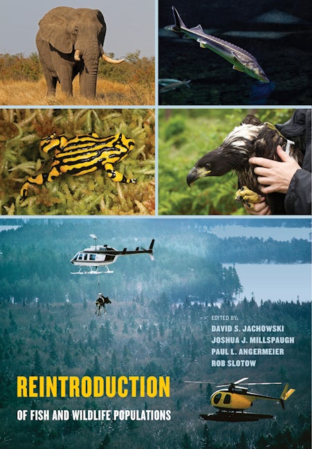 Book cover image for Reintroduction of Fish and Wildlife Populations ISBN: 9780520284616