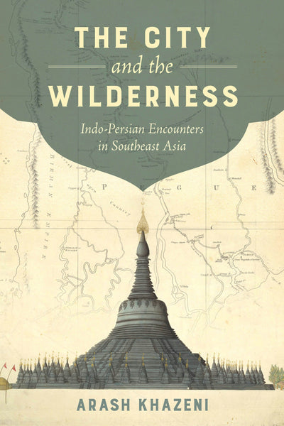 Cover image for The City and the Wilderness, isbn: 9780520289697
