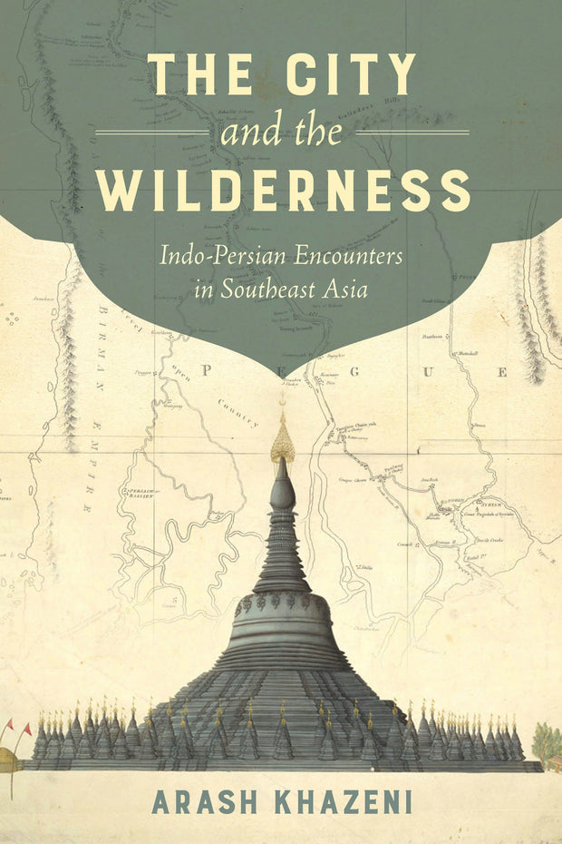 Cover image for The City and the Wilderness, isbn: 9780520289697