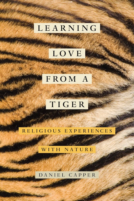 Book cover image for Learning Love from a Tiger ISBN: 9780520290419