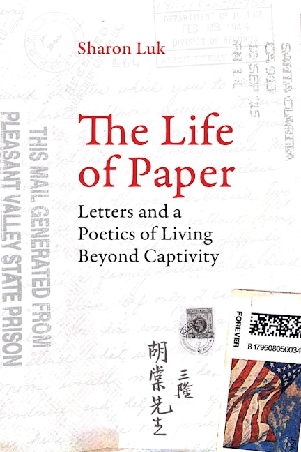 The Life of Paper