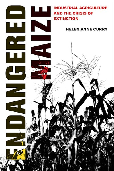 Endangered Maize