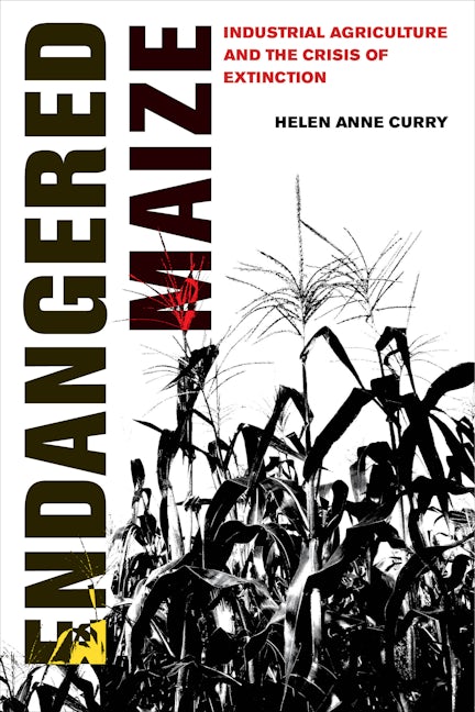 Endangered Maize