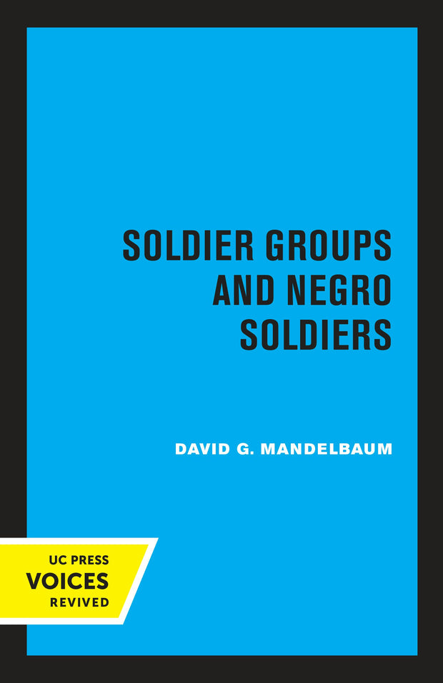 Cover image for Soldier Groups and Negro Soldiers, isbn: 9780520346925