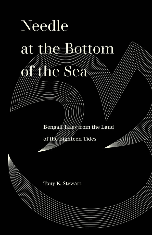 Cover image for Needle at the Bottom of the Sea, isbn: 9780520388949