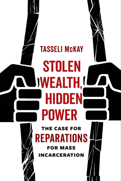 Cover image for Stolen Wealth, Hidden Power, isbn: 9780520389472