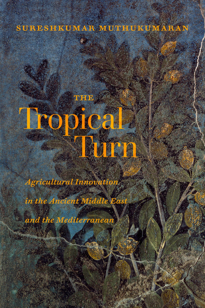 Cover image for The Tropical Turn, isbn: 9780520390850