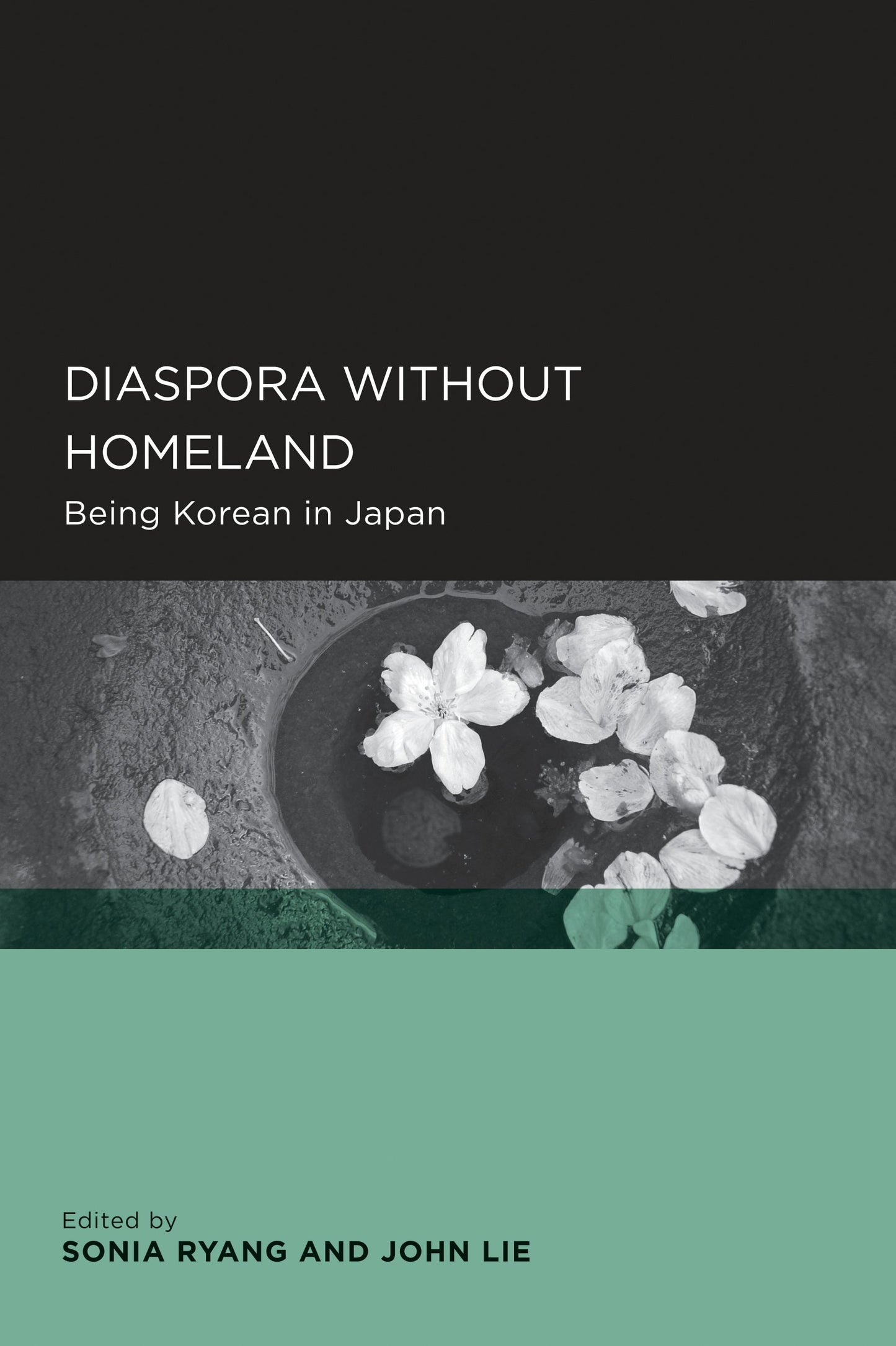 Book cover image for Diaspora without Homeland ISBN: 9780520916197