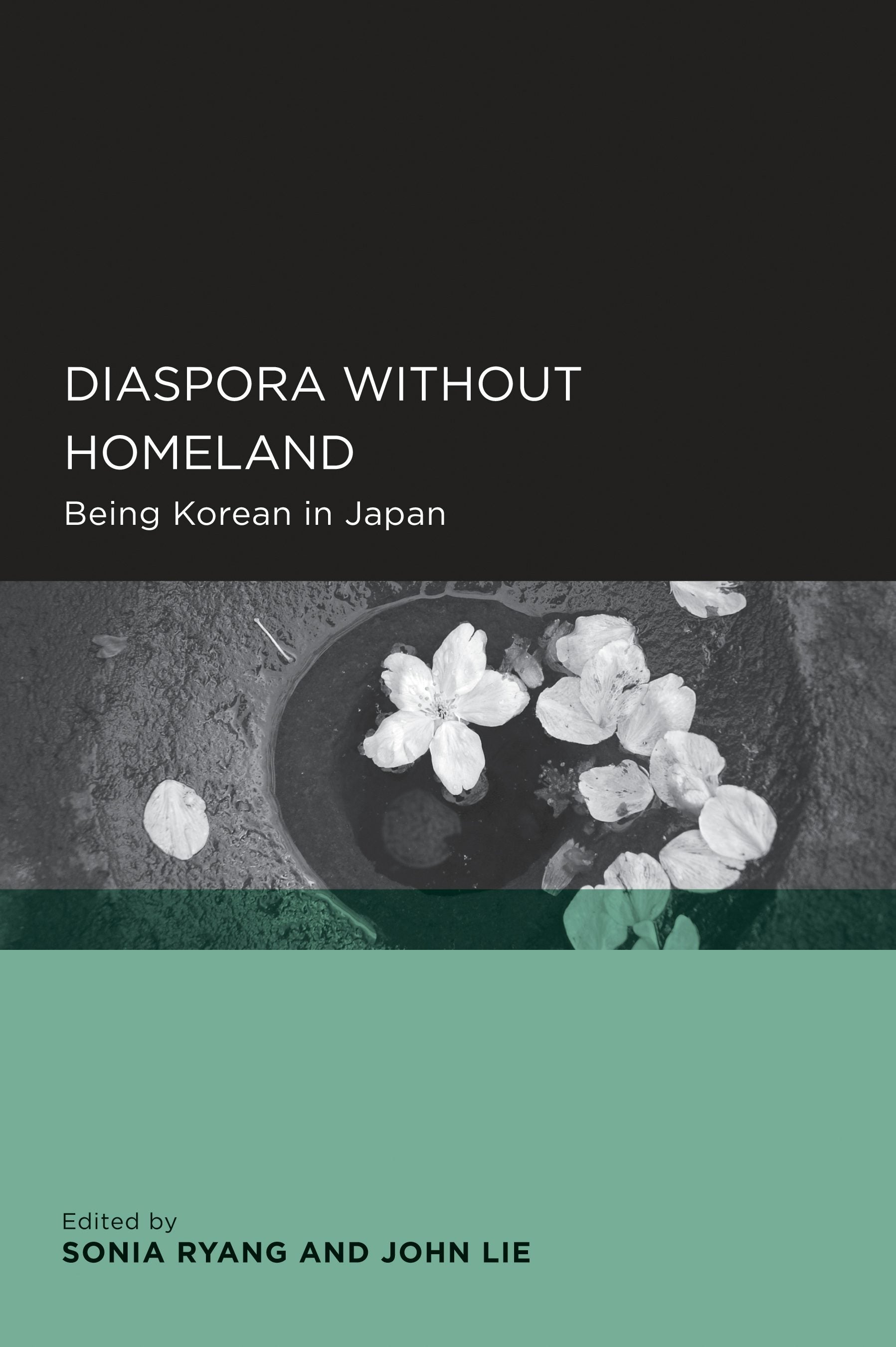 Book cover image for Diaspora without Homeland ISBN: 9780520916197