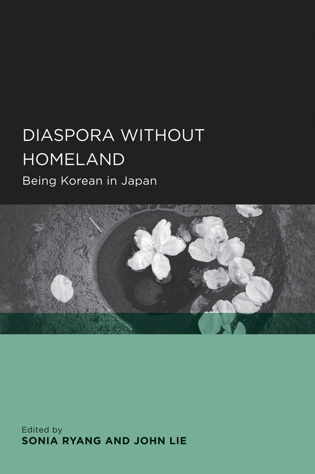 Cover image for Diaspora without Homeland, isbn: 9780520916197
