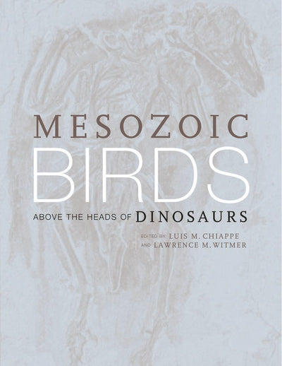 Cover image for Mesozoic Birds, isbn: 9780520916357