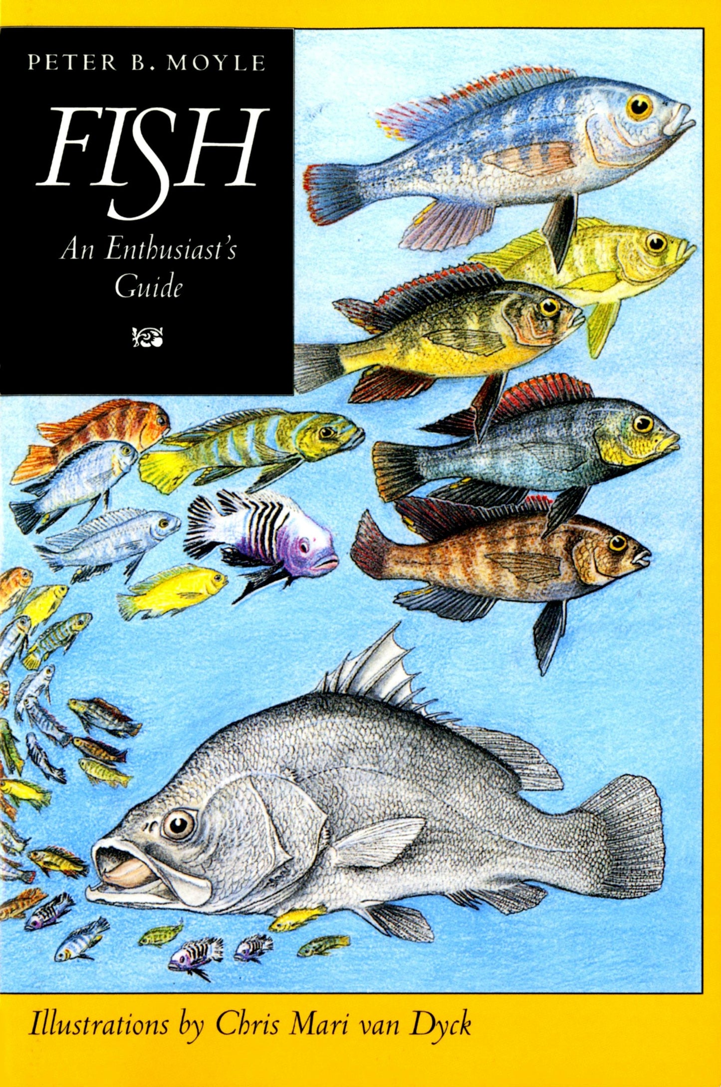 Book cover image for Fish ISBN: 9780520916654