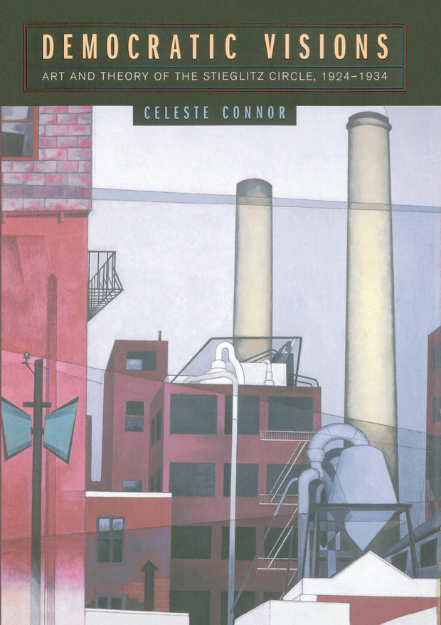 Cover image for Democratic Visions, isbn: 9780520920880