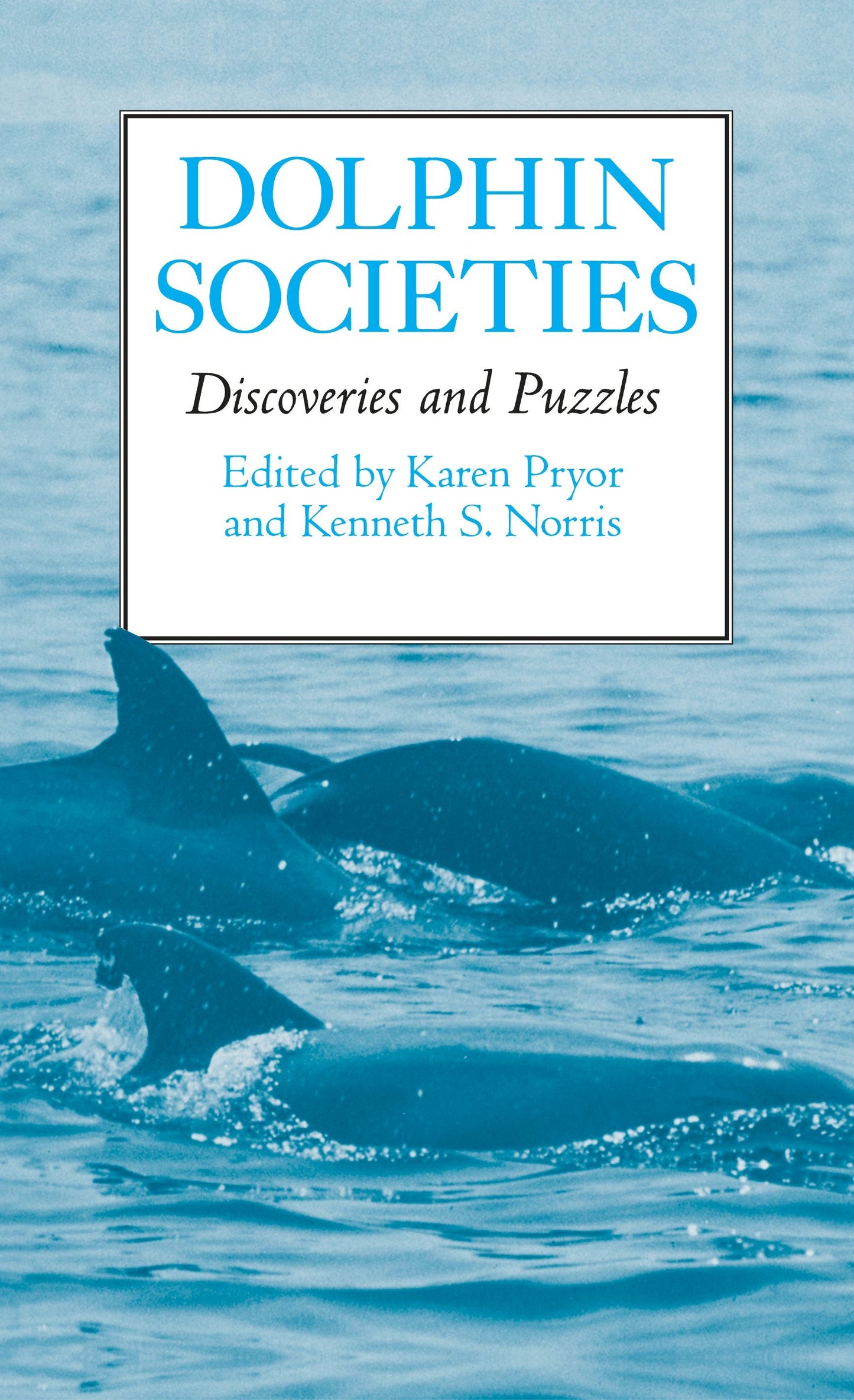 Book cover image for Dolphin Societies ISBN: 9780520922051
