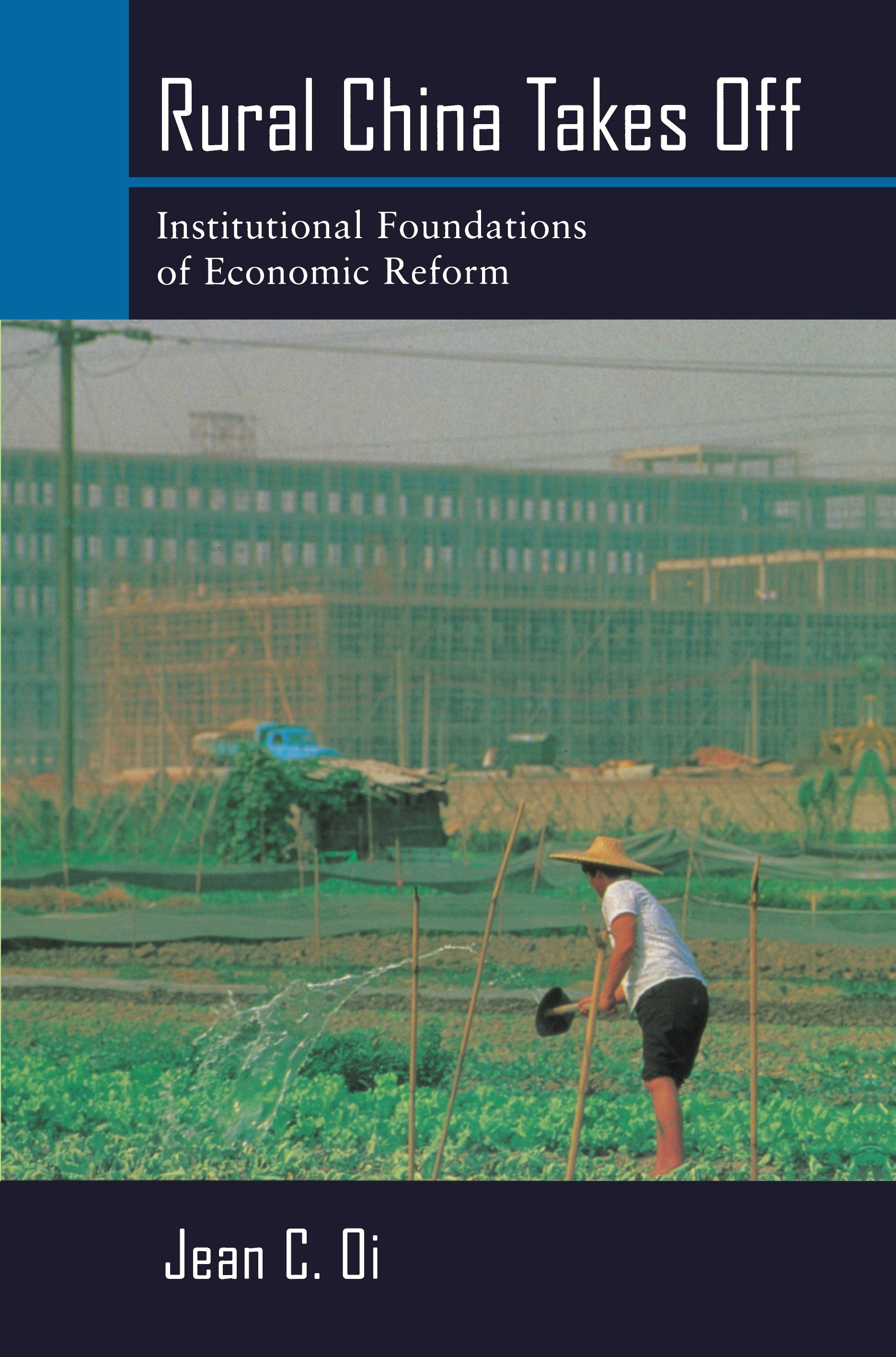 Book cover image for Rural China Takes Off ISBN: 9780520922402