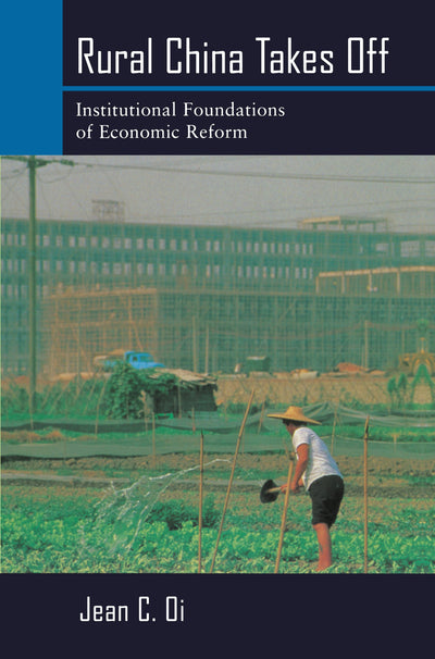 Cover image for Rural China Takes Off, isbn: 9780520922402