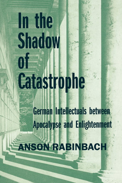 Cover image for In the Shadow of Catastrophe, isbn: 9780520926257