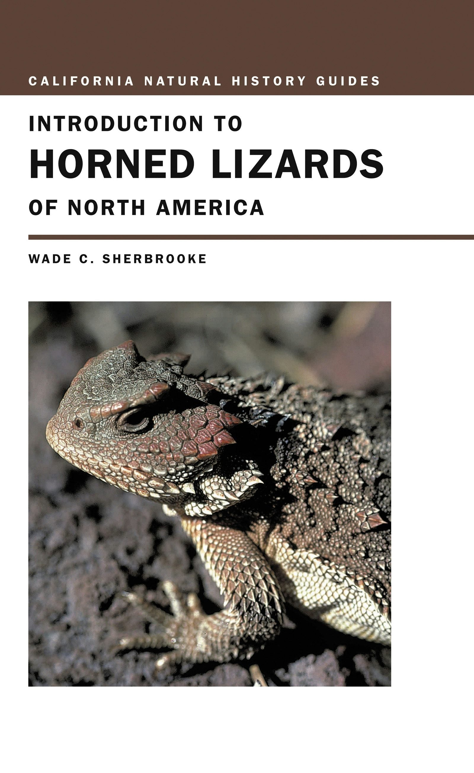 Book cover image for Introduction to Horned Lizards of North America ISBN: 9780520926752