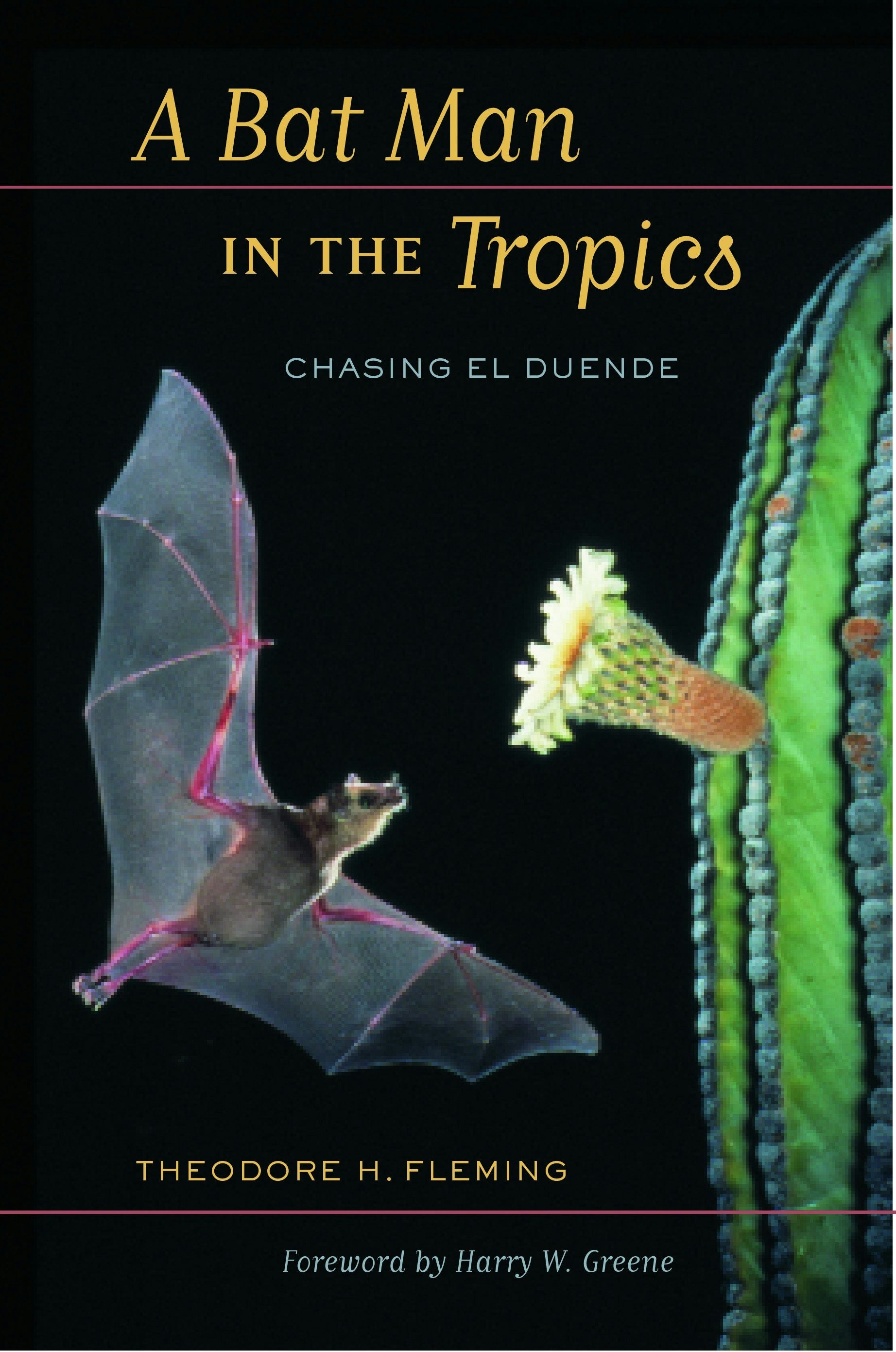 Book cover image for A Bat Man in the Tropics ISBN: 9780520929487