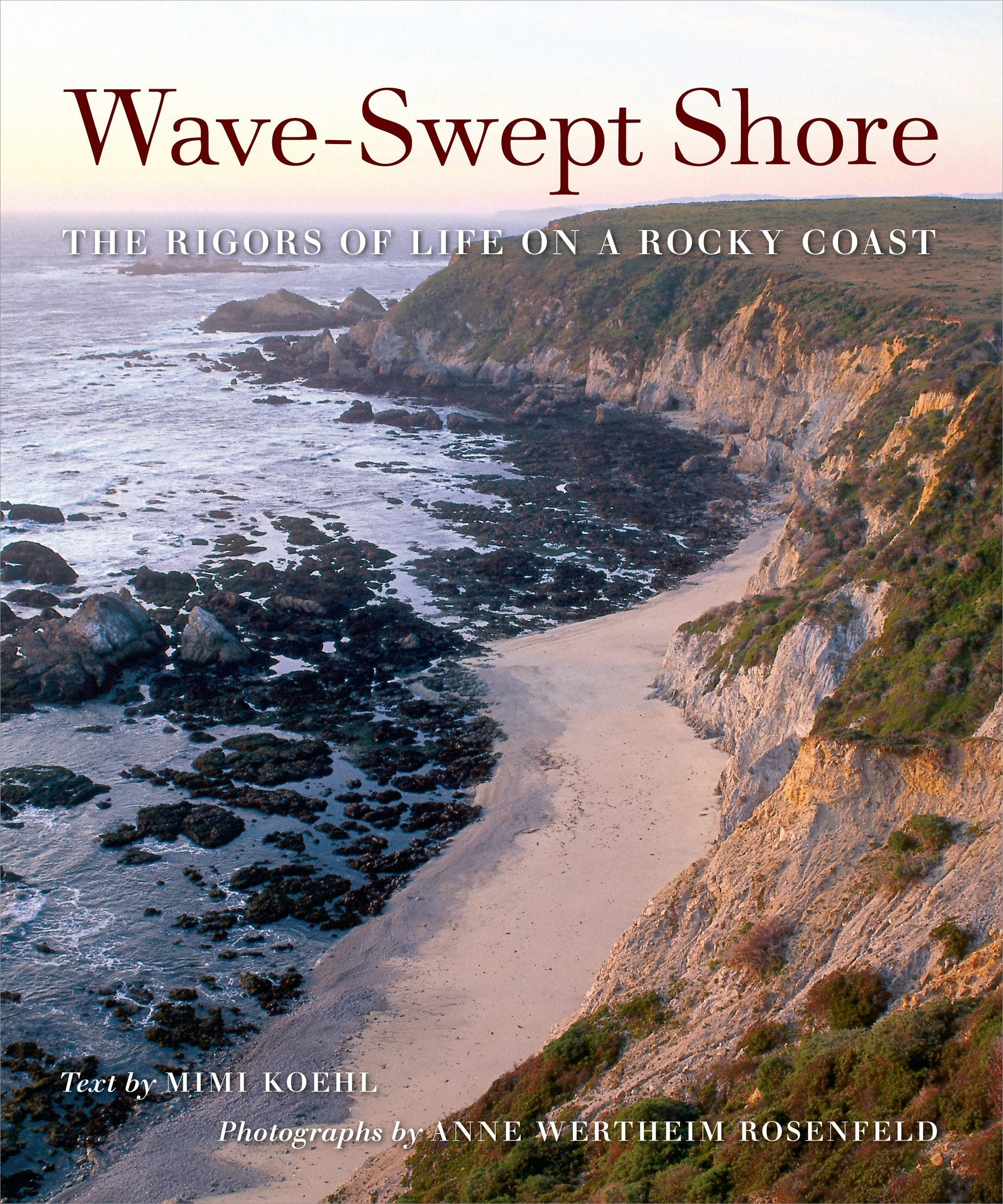 Book cover image for Wave-Swept Shore ISBN: 9780520929999