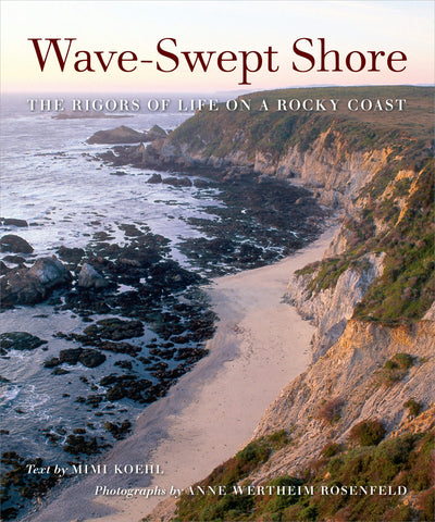 Cover image for Wave-Swept Shore, isbn: 9780520929999