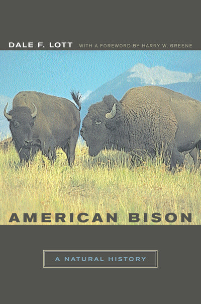 Cover image for American Bison, isbn: 9780520930742