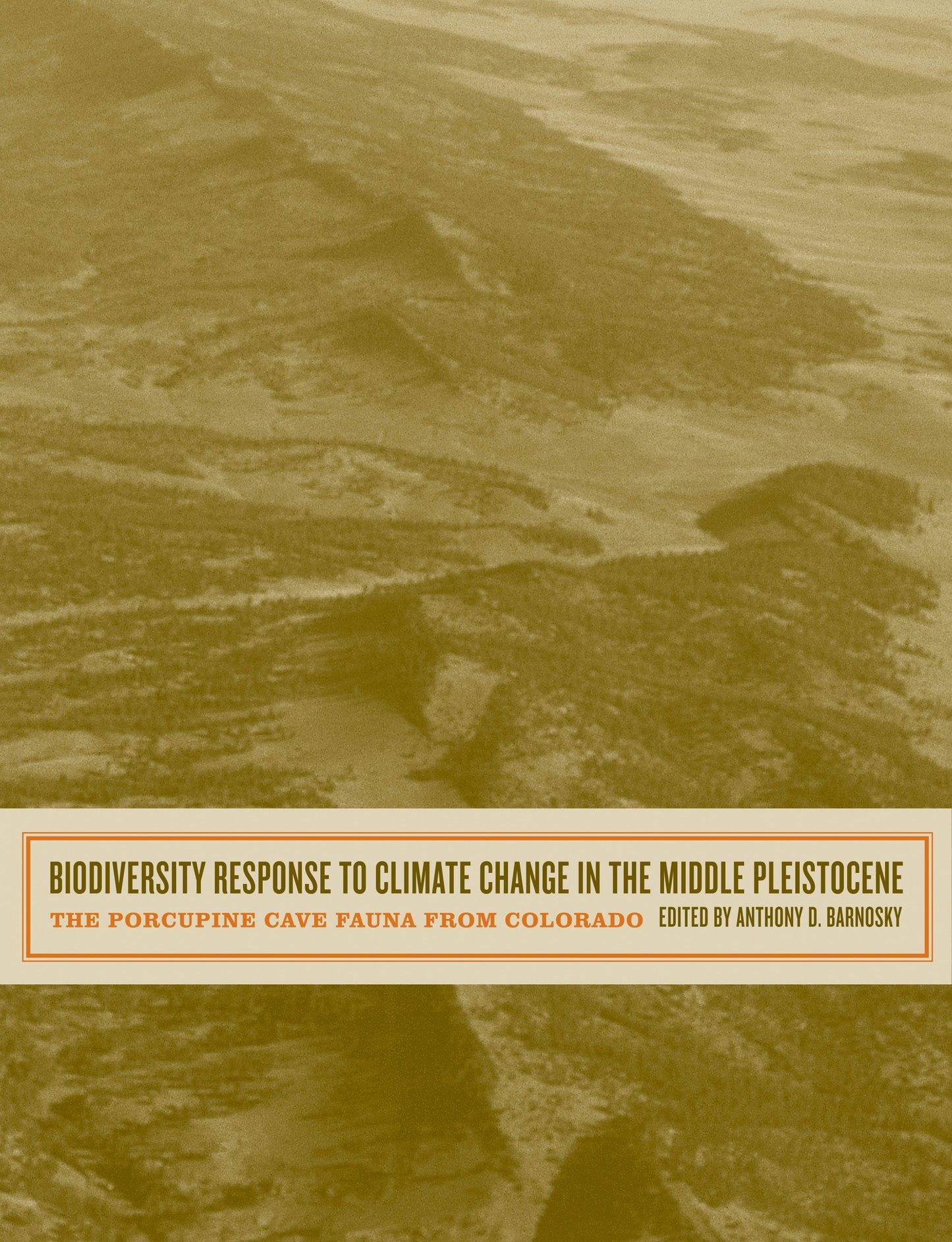 Book cover image for Biodiversity Response to Climate Change in the Middle Pleistocene ISBN: 9780520930858