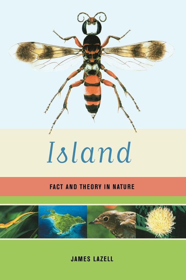 Cover image for Island, isbn: 9780520931596