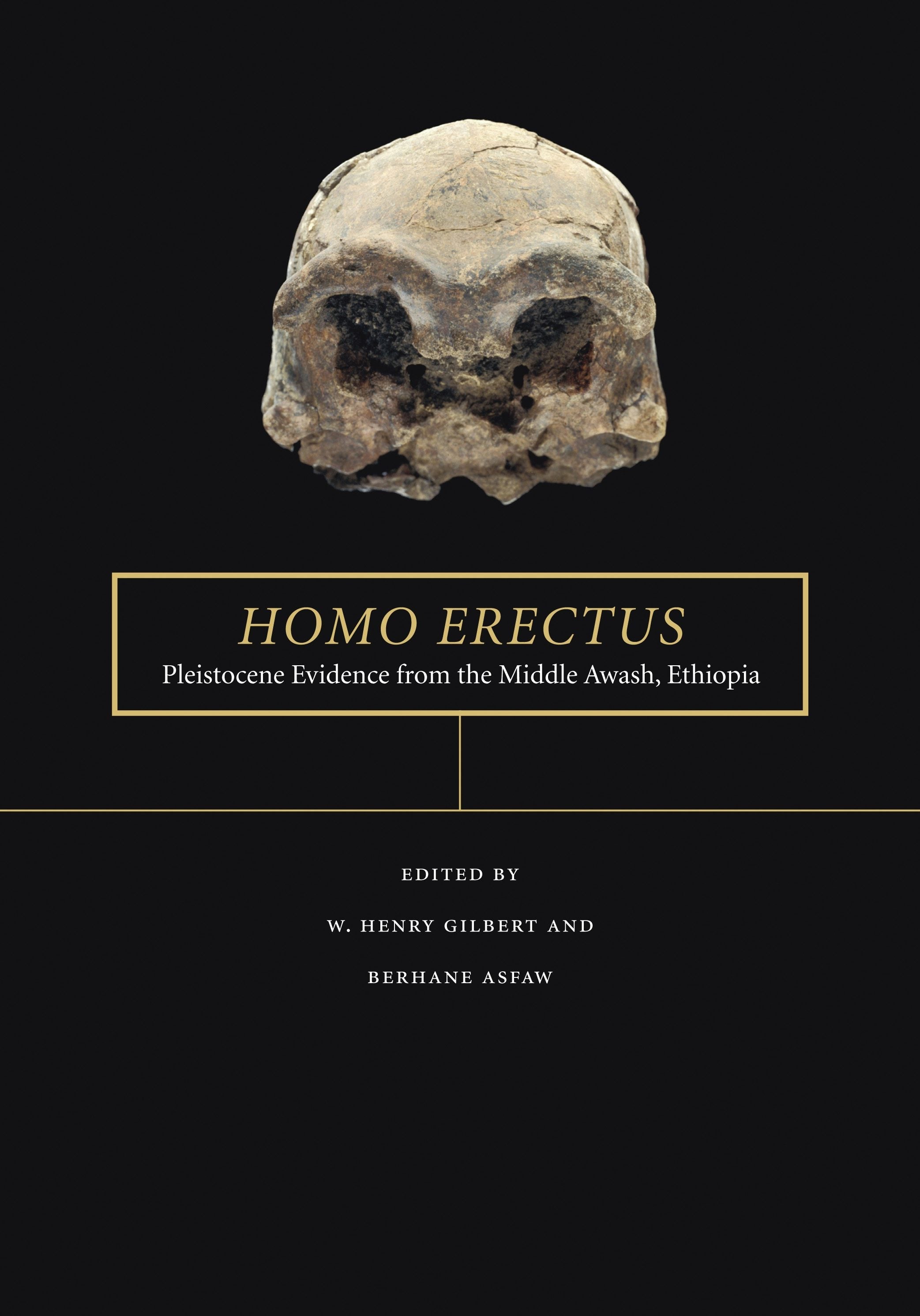 Book cover image for Homo erectus ISBN: 9780520933774