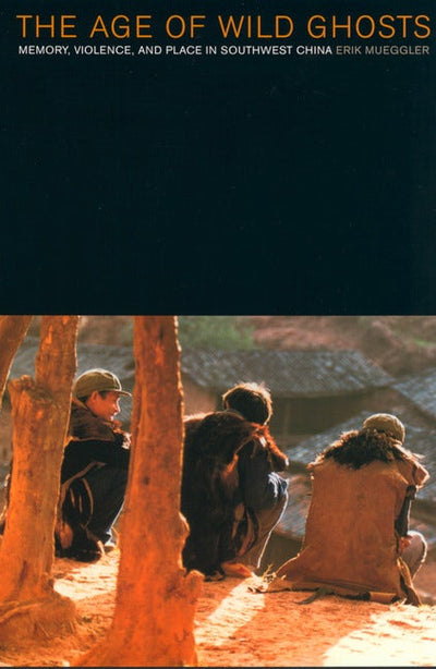 Cover image for The Age of Wild Ghosts, isbn: 9780520935549