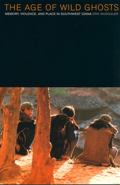 Cover image for The Age of Wild Ghosts, isbn: 9780520935549