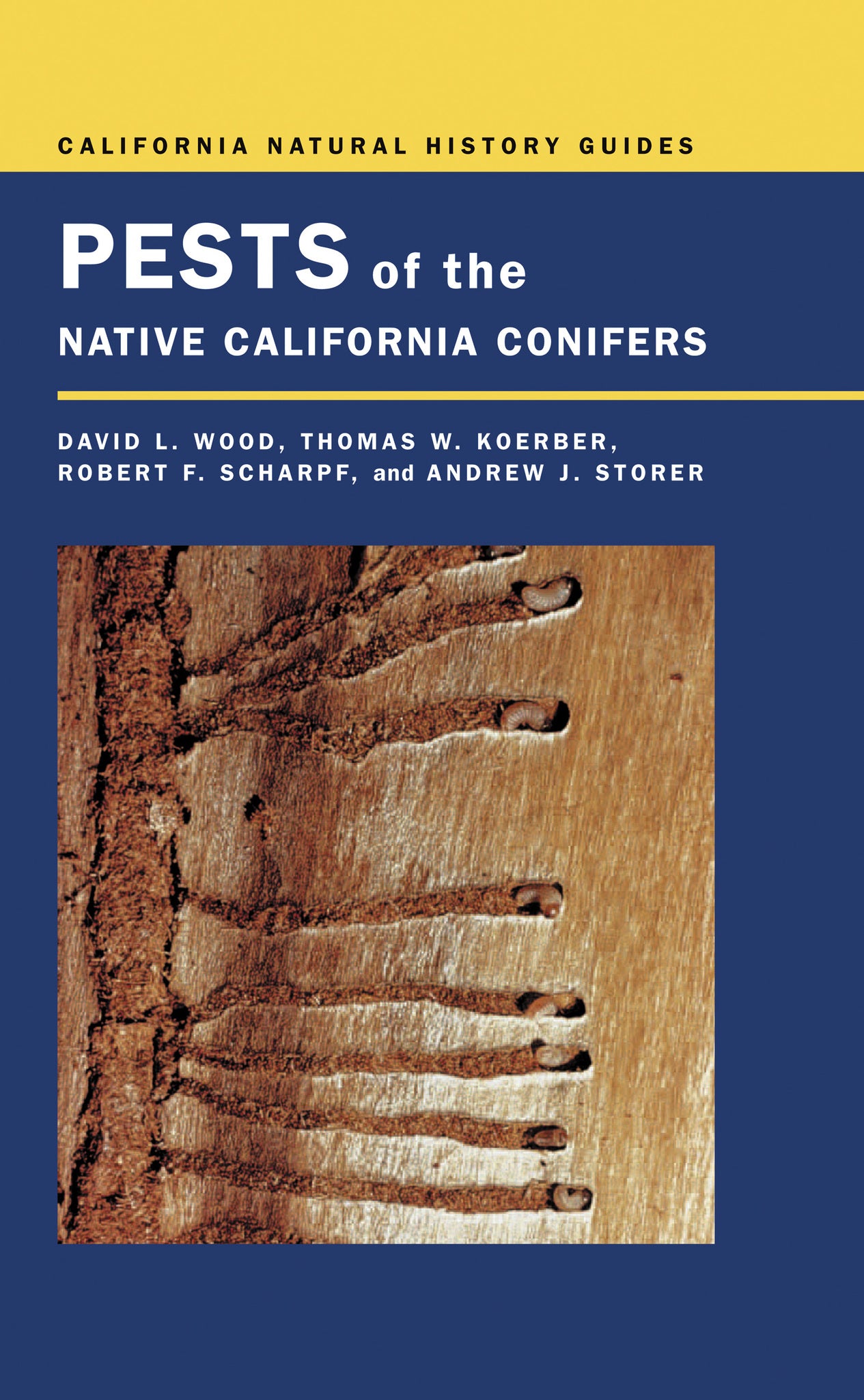 Cover image for Pests of the Native California Conifers ISBN 9780520936379