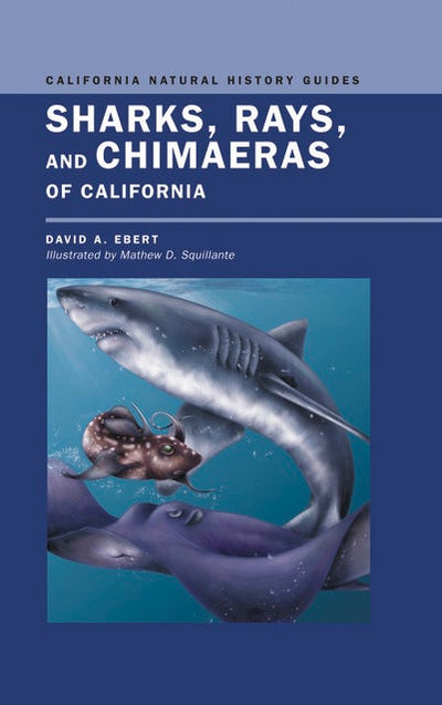 Cover image for Sharks, Rays, and Chimaeras of California, isbn: 9780520936560