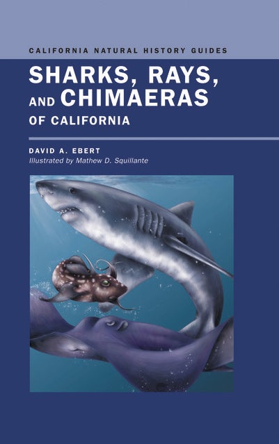 Cover image for Sharks, Rays, and Chimaeras of California, isbn: 9780520936560