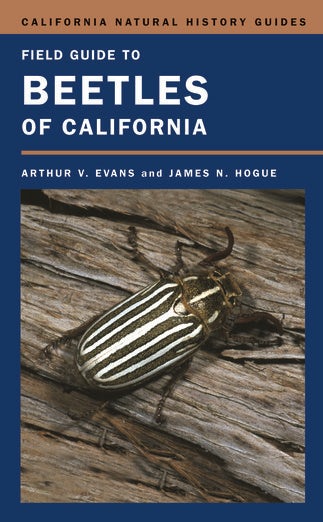 Cover image for Introduction to California Beetles, isbn: 9780520937567