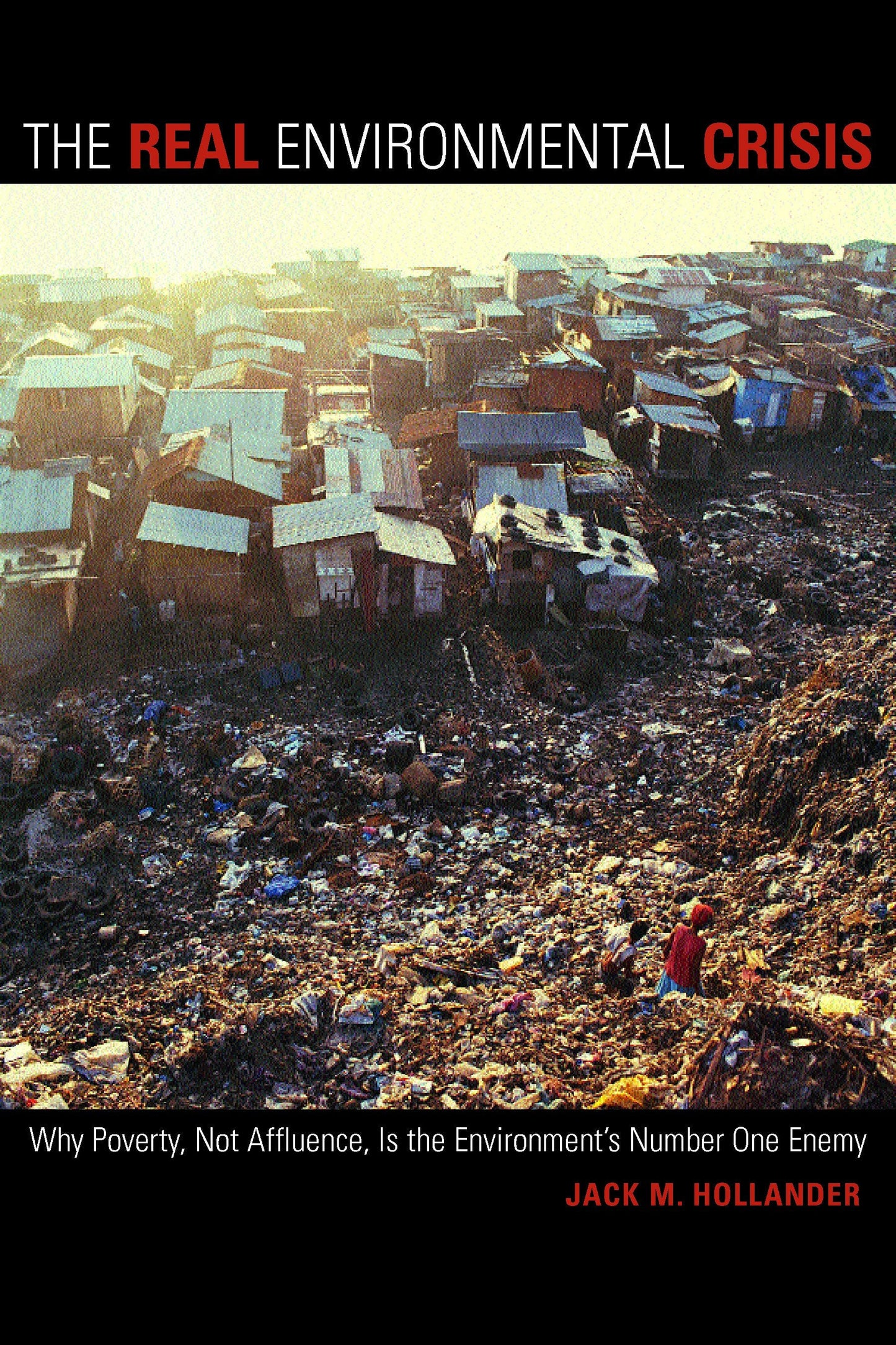 Book cover image for The Real Environmental Crisis ISBN: 9780520938403