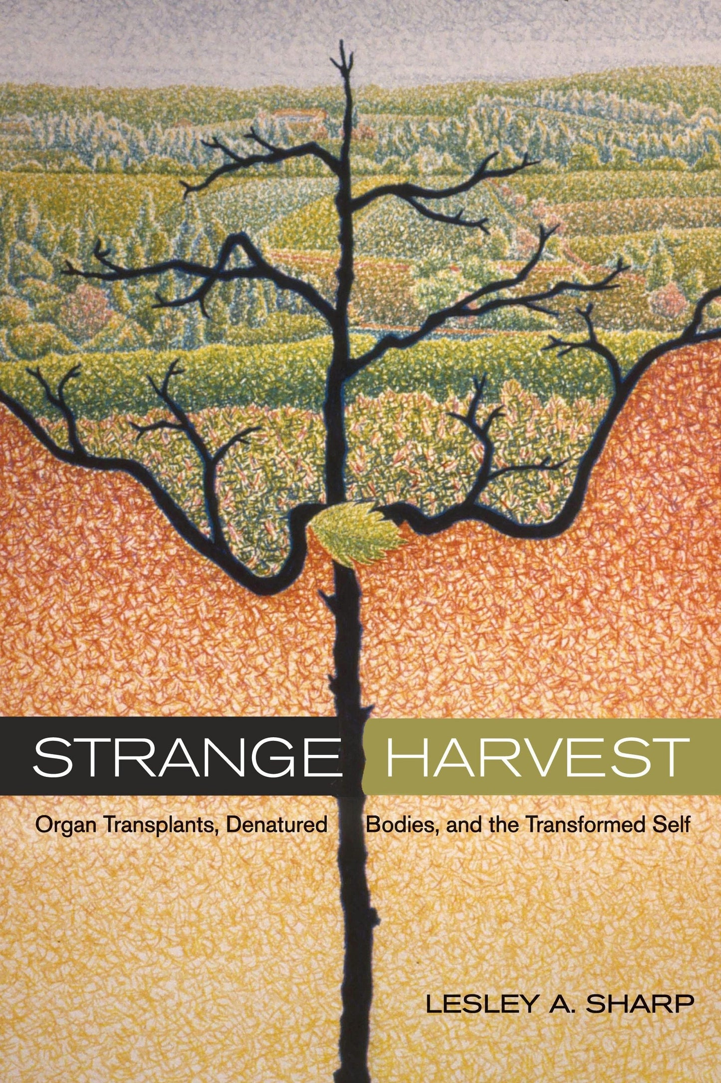 Cover image for Strange Harvest ISBN 9780520247864