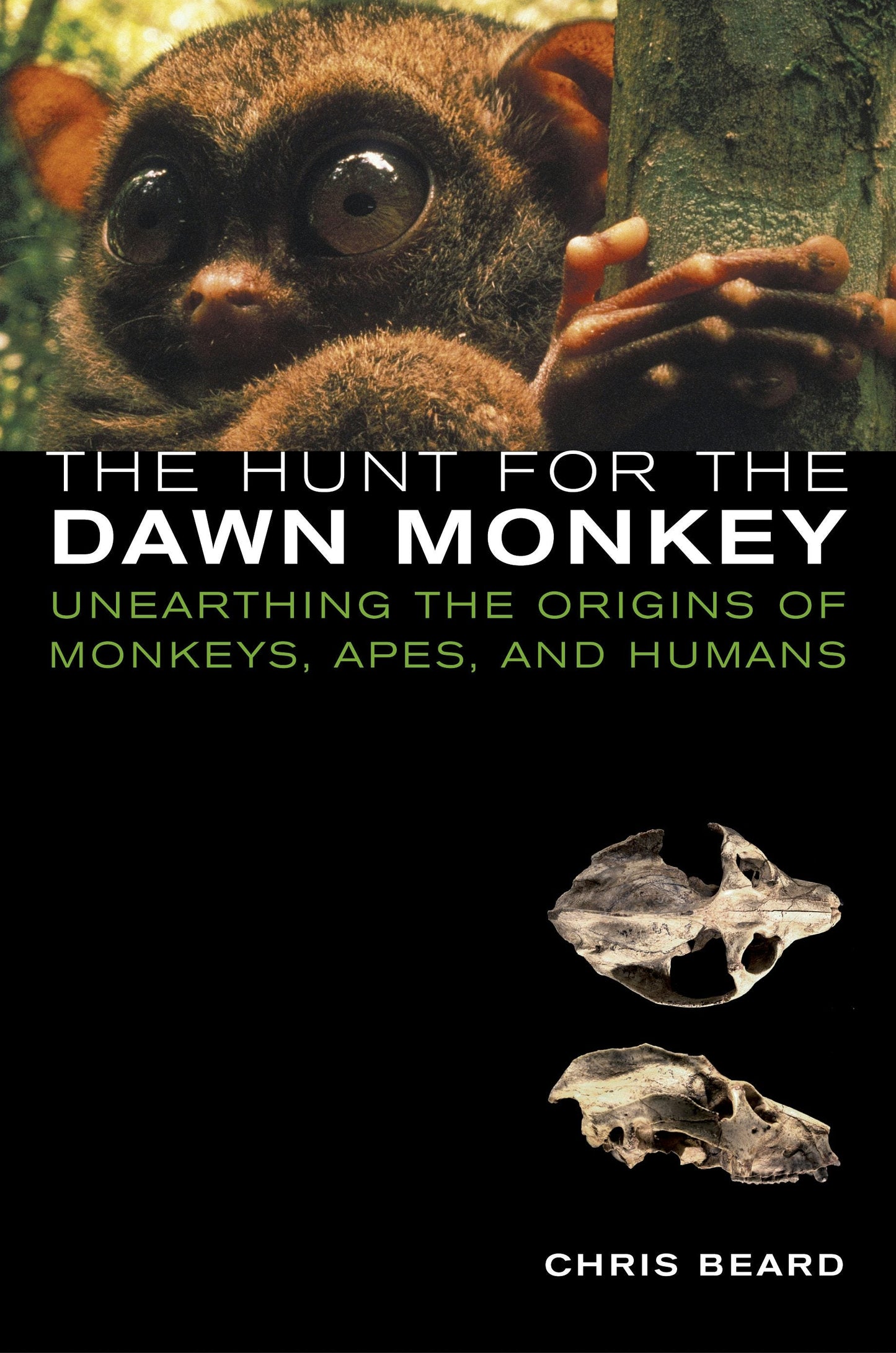Book cover image for The Hunt for the Dawn Monkey ISBN: 9780520940253