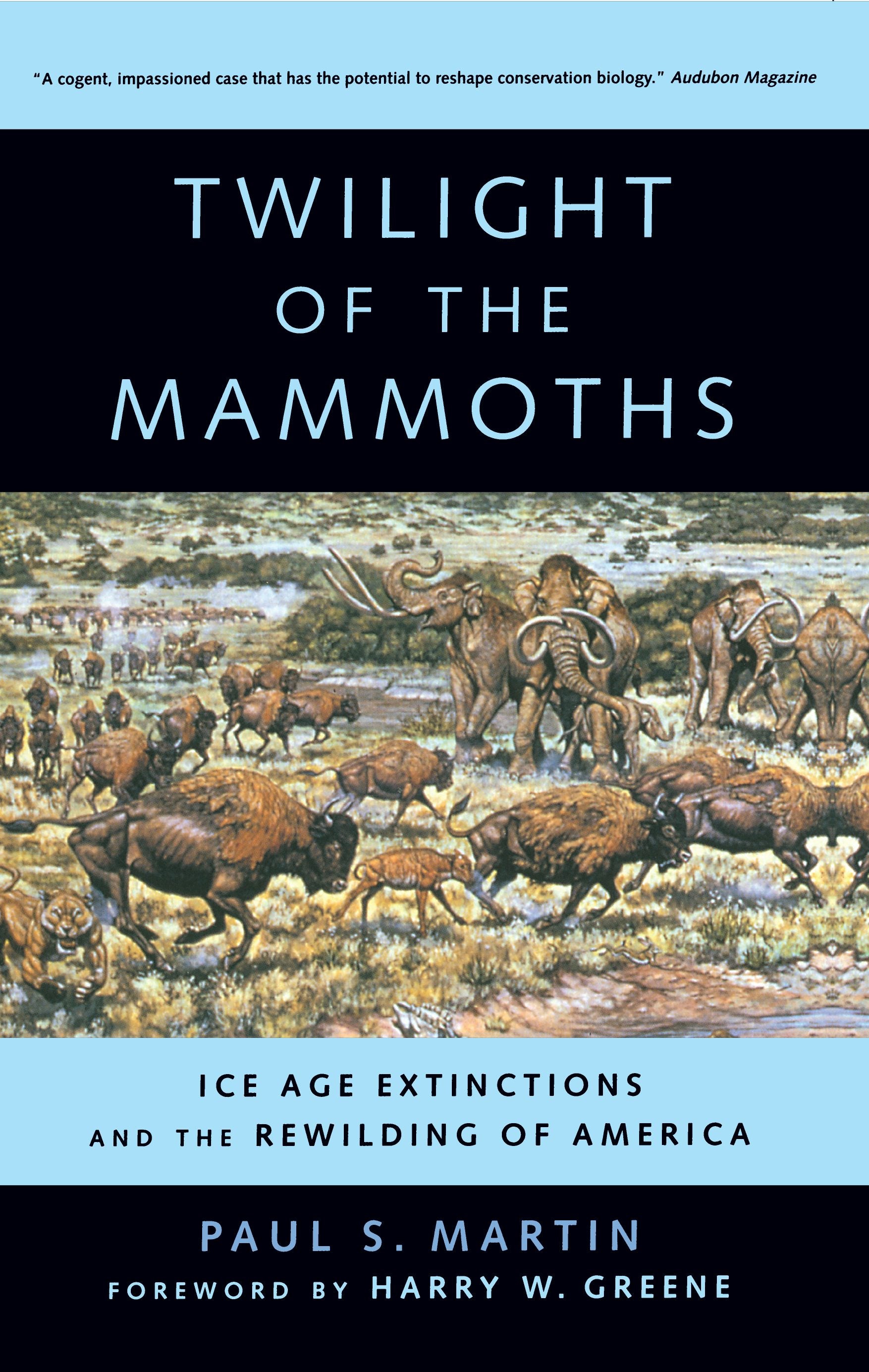 Book cover image for Twilight of the Mammoths ISBN: 9780520941106