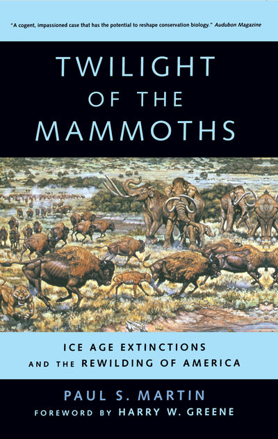 Cover image for Twilight of the Mammoths, isbn: 9780520941106