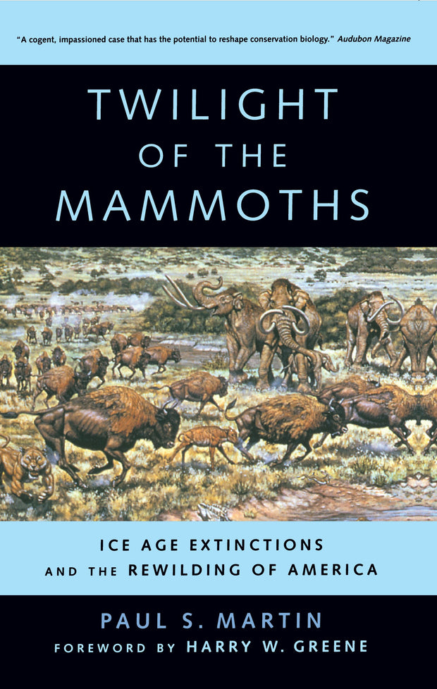 Cover image for Twilight of the Mammoths, isbn: 9780520941106