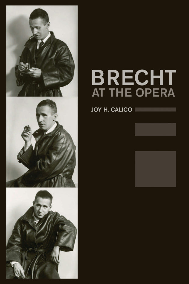 Cover image for Brecht at the Opera, isbn: 9780520942813