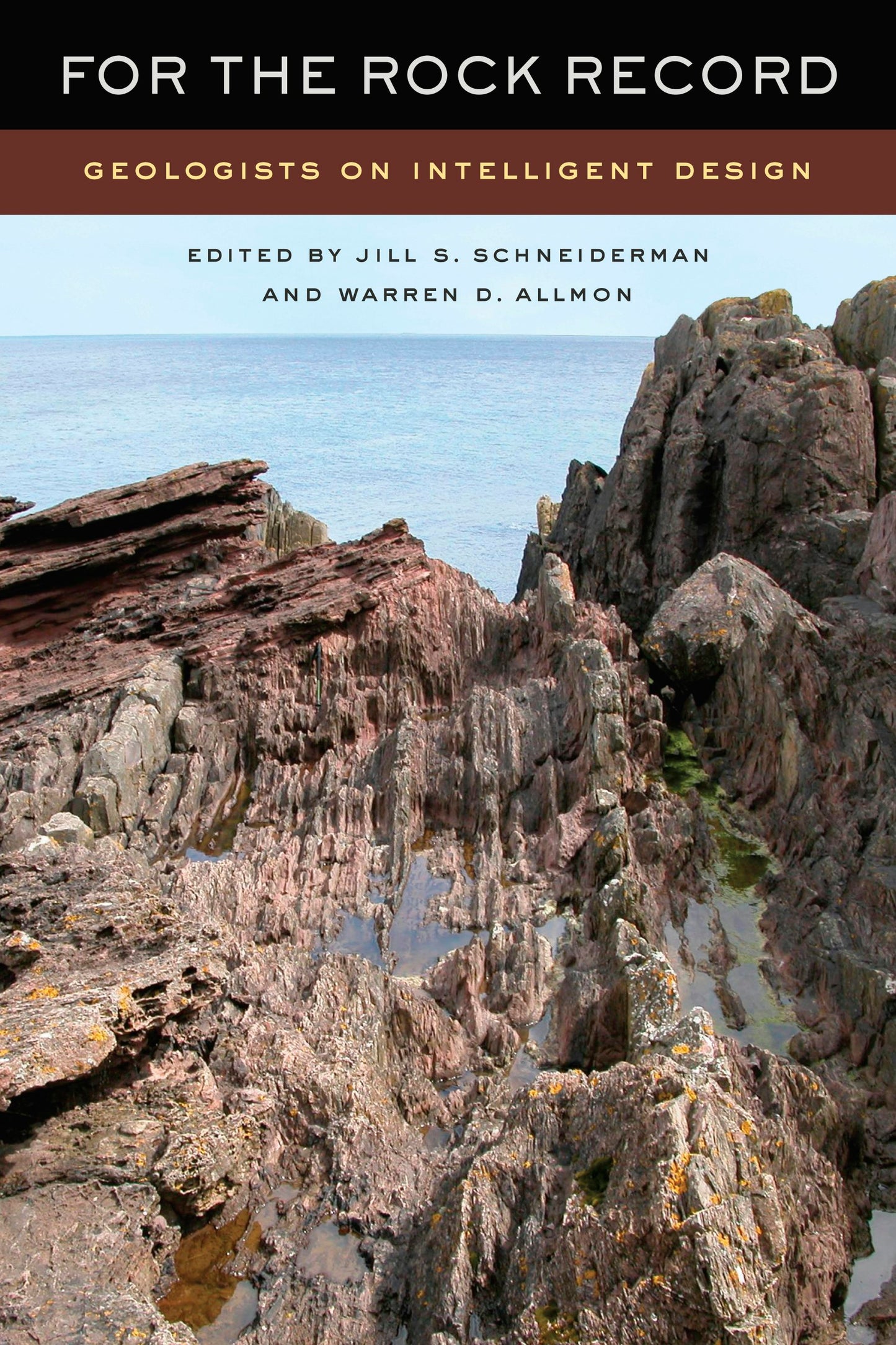 Book cover image for For the Rock Record ISBN: 9780520943711