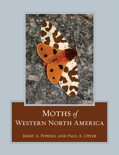 Cover image for Moths of Western North America, isbn: 9780520943773