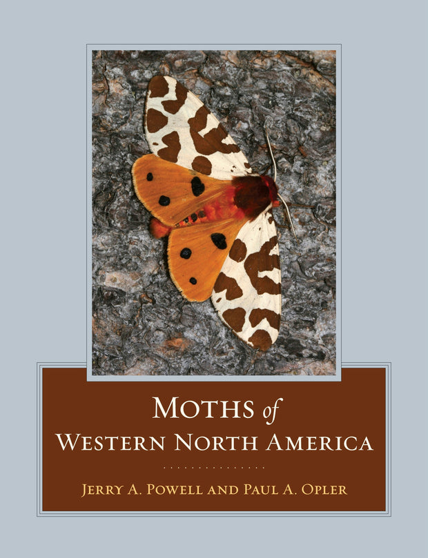 Cover image for Moths of Western North America, isbn: 9780520943773