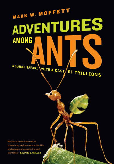 Cover image for Adventures among Ants, isbn: 9780520945418