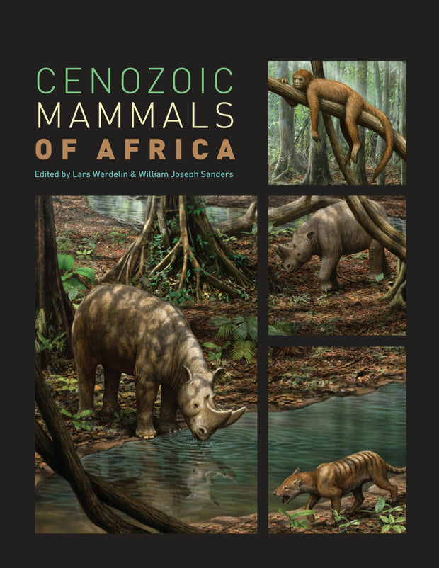 Cover image for Cenozoic Mammals of Africa, isbn: 9780520945425