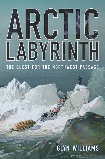Cover image for Arctic Labyrinth, isbn: 9780520946255